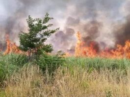 BOMBEROS VOLUNTARIOS DE MARCOS PAZ LLEVA CASI 50 SALIDAS EN LO QUE VA DEL AÑO