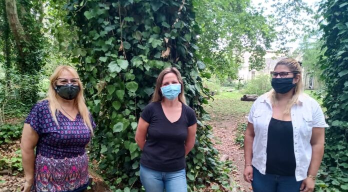GRATIPLANTAS: INTERCAMBIO EN EL JARDÍN BOTÁNICO