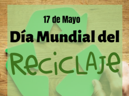 DIA MUNDIAL DEL RECICLAJE: ¿QUÉ RESIDUOS RECICLAR Y CÓMO HACERLO EN NUESTRA LOCALIDAD?
