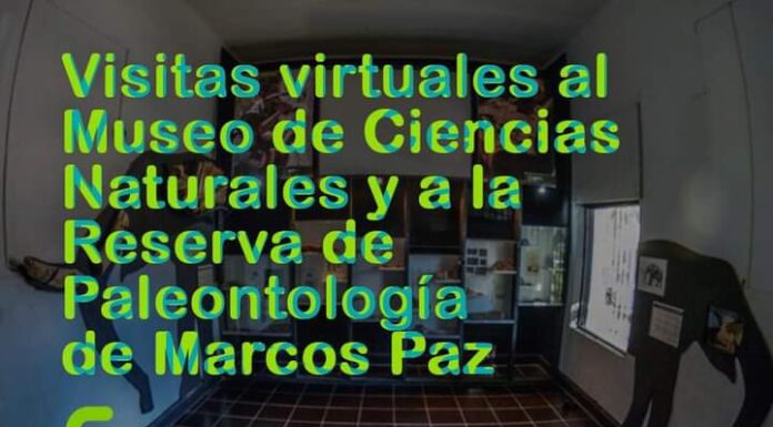EL MUSEO DE CIENCIAS NATURALES Y LA RESERVA PALEONTOLÓGICA INCORPORAN VISITAS VIRTUALES