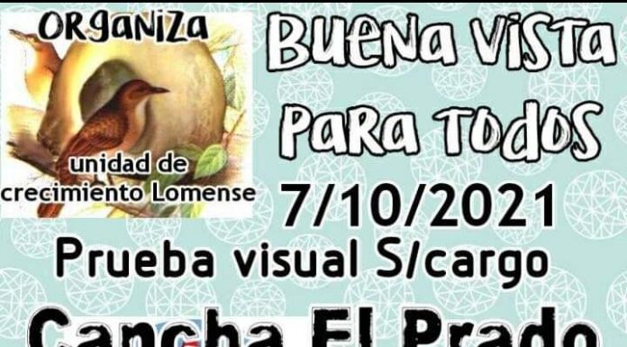 BUENA VISTA PARA TODOS: CAMPAÑA DE SALUD VISUAL EN EL BARRIO EL PRADO