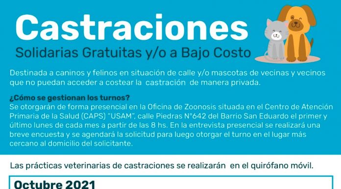ZOONOSIS: CASTRACIONES SOLIDARIAS GRATUITAS Y/O A BAJO COSTO