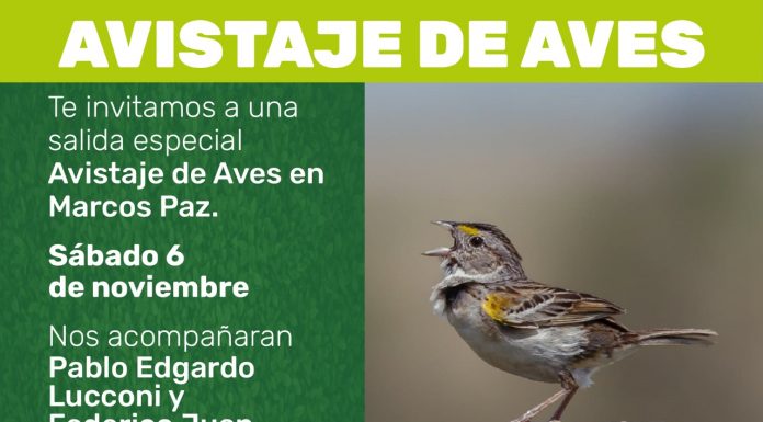 MARCOS PAZ SIGUE SUMANDO PROPUESTAS: AVISTAJE DE AVES EN NOVIEMBRE
