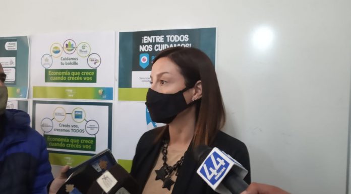 NOVEDADES DE LICENCIAS DE CONDUCIR