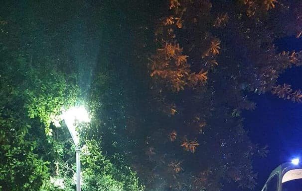 ÚLTIMO VIAJE A MAR DEL PLATA DEL AÑO