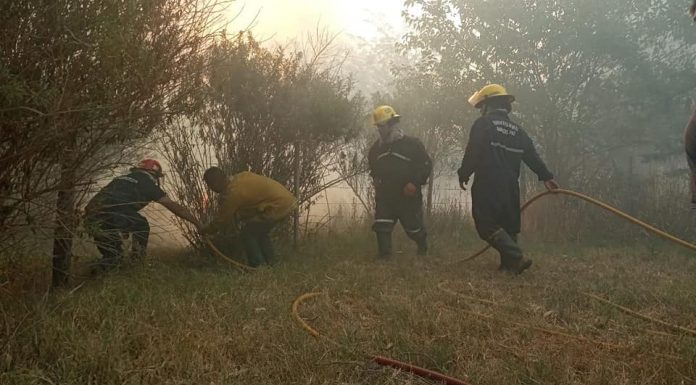 BOMBEROS VOLUNTARIOS SIGUE TRABAJANDO EN EL INCENDIO FORESTAL CERCA DEL INSTITUTO MALBRAN