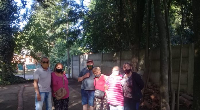 VUELVE ABUELOS EN ACCIÓN CON MUCHAS ACTIVIDADES