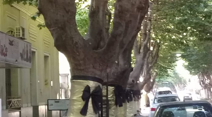 DECORACIÓN NAVIDEÑA EN SARMIENTO Y BARTOLOMÉ MITRE