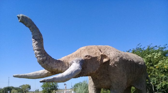 TE INVITAMOS AL PASEO DE TIERRA DE GIGANTES