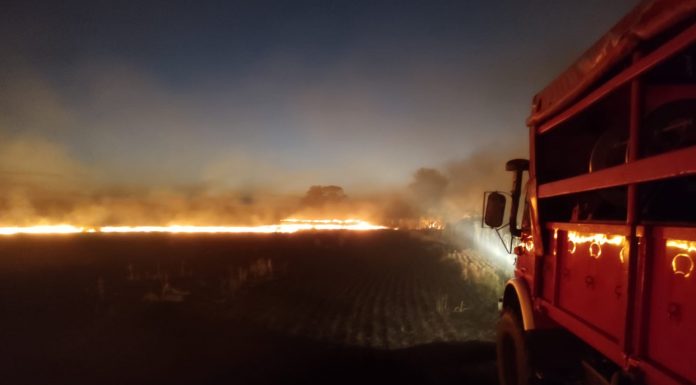 BOMBEROS VOLUNTARIOS ASISTIÓ UN IMPORTANTE INCENDIO FORESTAL
