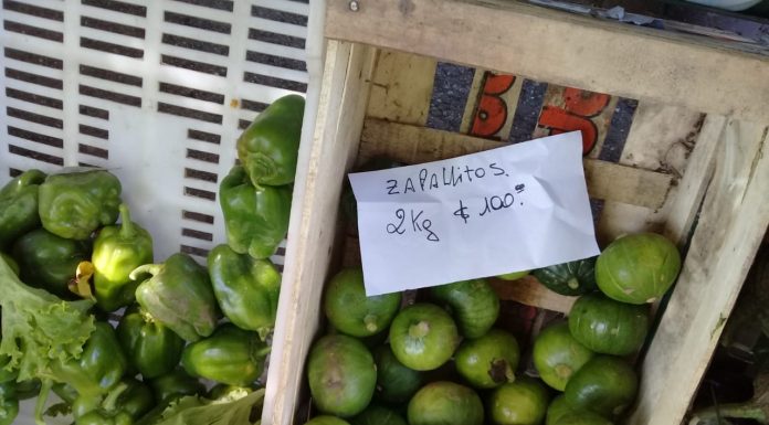 LA COOPERATIVA ‘NUEVA ESPERANZA’ OFRECE SUPER PRECIOS EN PRODUCTOS AGROECOLÓGICOS