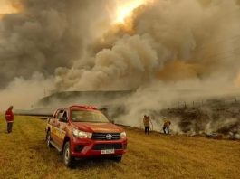 BOMBEROS DE MARCOS PAZ ASISTE INCENDIOS EN CORRIENTES