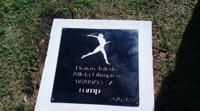 UNA ESTATUA PARA BRAIAN TOLEDO
