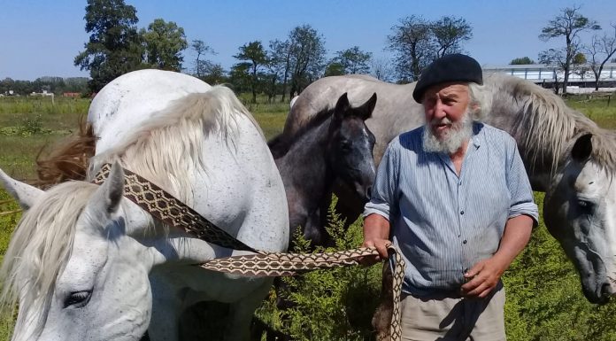 BARBA TESO NOS INVITA A UNA CABALGATA