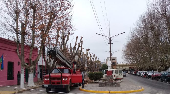#AHORA PODA EN CALLE BELGRANO Y 25 DE MAYO