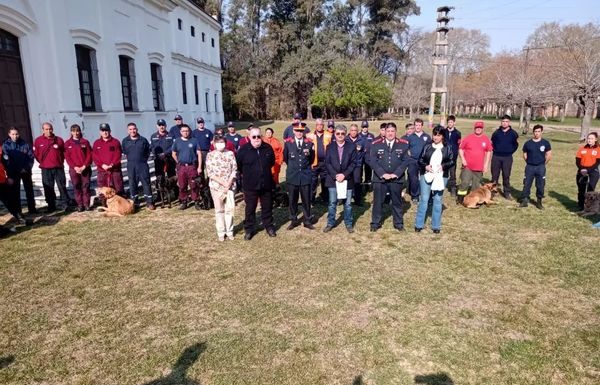 CERTIFICACIÓN DE CANES EN LA COLONIA GUTIÉRREZ