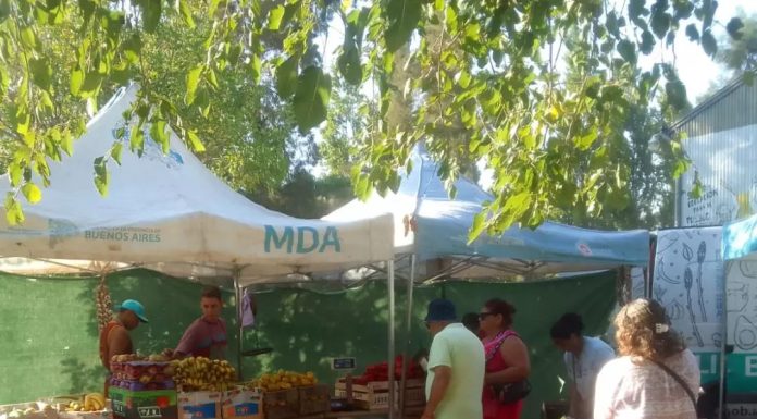 Feria municipal de artesanos y emprendedores en el Paseo