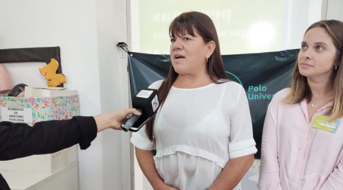 El Polo Universitario ofrece cursos gratuitos de idiomas