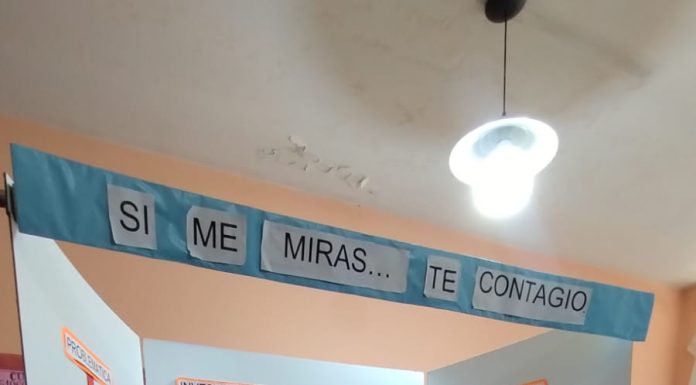 LA ESCUELA N°9 ACCEDIÓ A LA FINAL DE LA FERIA DE CIENCIAS