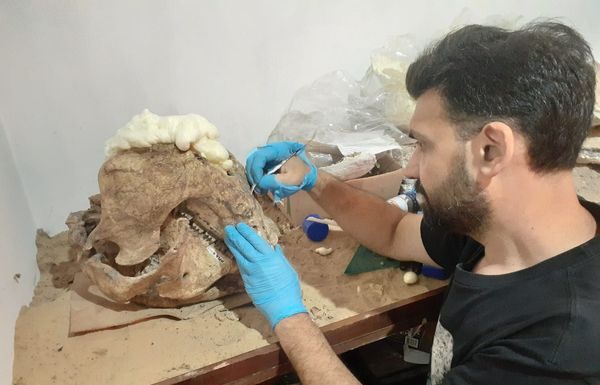 NUEVOS DESCUBRIMIENTOS SE SUMAN AL MUSEO DE CIENCIAS NATURALES