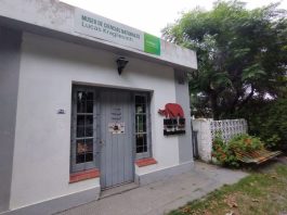 PROPUESTAS DEL MUSEO DE CIENCIAS NATURALES PARA VACACIONES