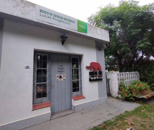 PROPUESTAS DEL MUSEO DE CIENCIAS NATURALES PARA VACACIONES