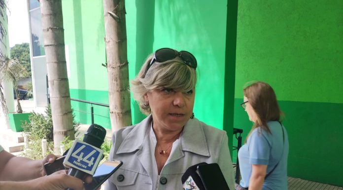 TRAS LA ALERTA PROVINCIAL, LA SECRETARÍA DE SALUD PÚBLICA BRINDA UN INFORME PARA LA PREVENCIÓN DEL DENGUE