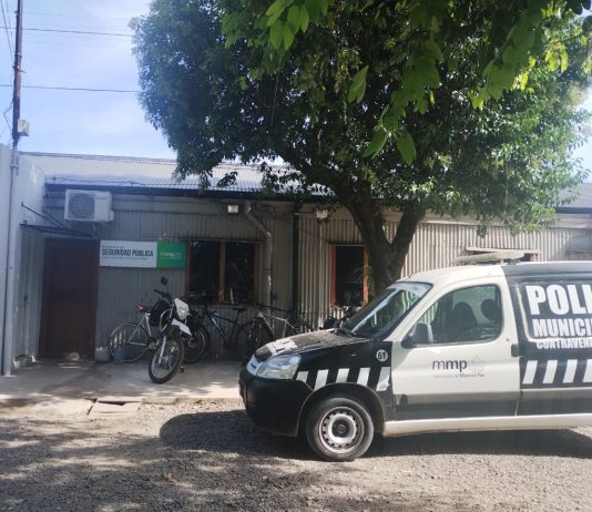 INFORME DE SEGURIDAD: CADENA DE ROBOS EN CALLE SARMIENTO