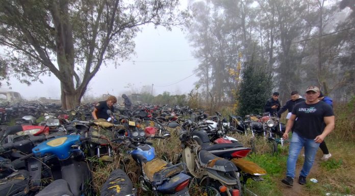 PROCESO DE COMPACTACIÓN DE AUTOS Y MOTOVEHÍCULOS EN EL PARQUE AUTOMOTOR MUNICIPAL