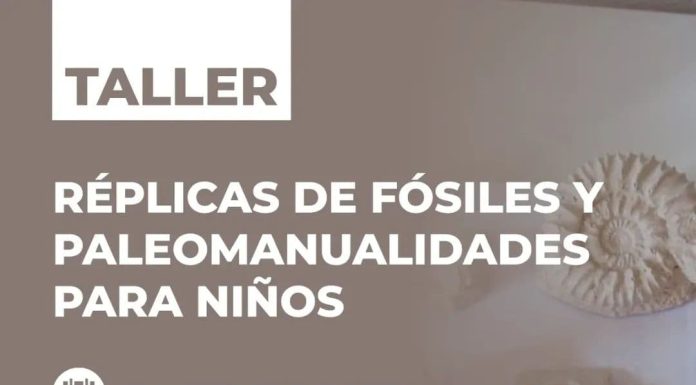 TALLER DE PALEOMANUALIDADES PARA CHICOS EN EL MUSEO DE CIENCIAS NATURALES