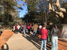 MOVILIZACIÓN DOCENTE EN DEFENSA DE LOS SERVICIOS DE SALUD Y LA EDUCACIÓN PÚBLICA