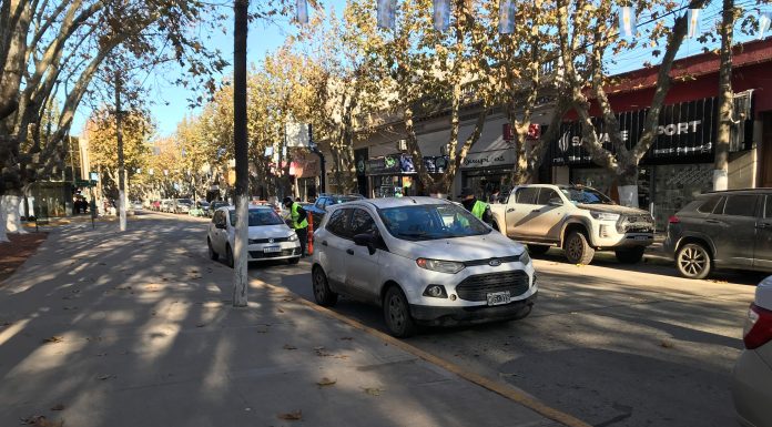 DÍA MUNDIAL DE LA SEGURIDAD VIAL: PREOCUPACIÓN POR ALTAS ESTADÍSTICAS DE ALCOHOL AL VOLANTE