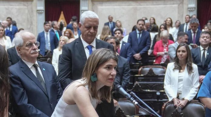 MARINA SALZMANN JURÓ COMO DIPUTADA NACIONAL EN EL CONGRESO