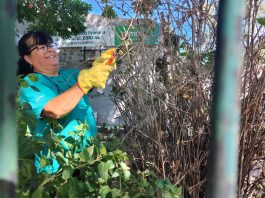 AVANZA LA PUESTA EN VALOR DEL CAPS DEL BARRIO EL ZORZAL