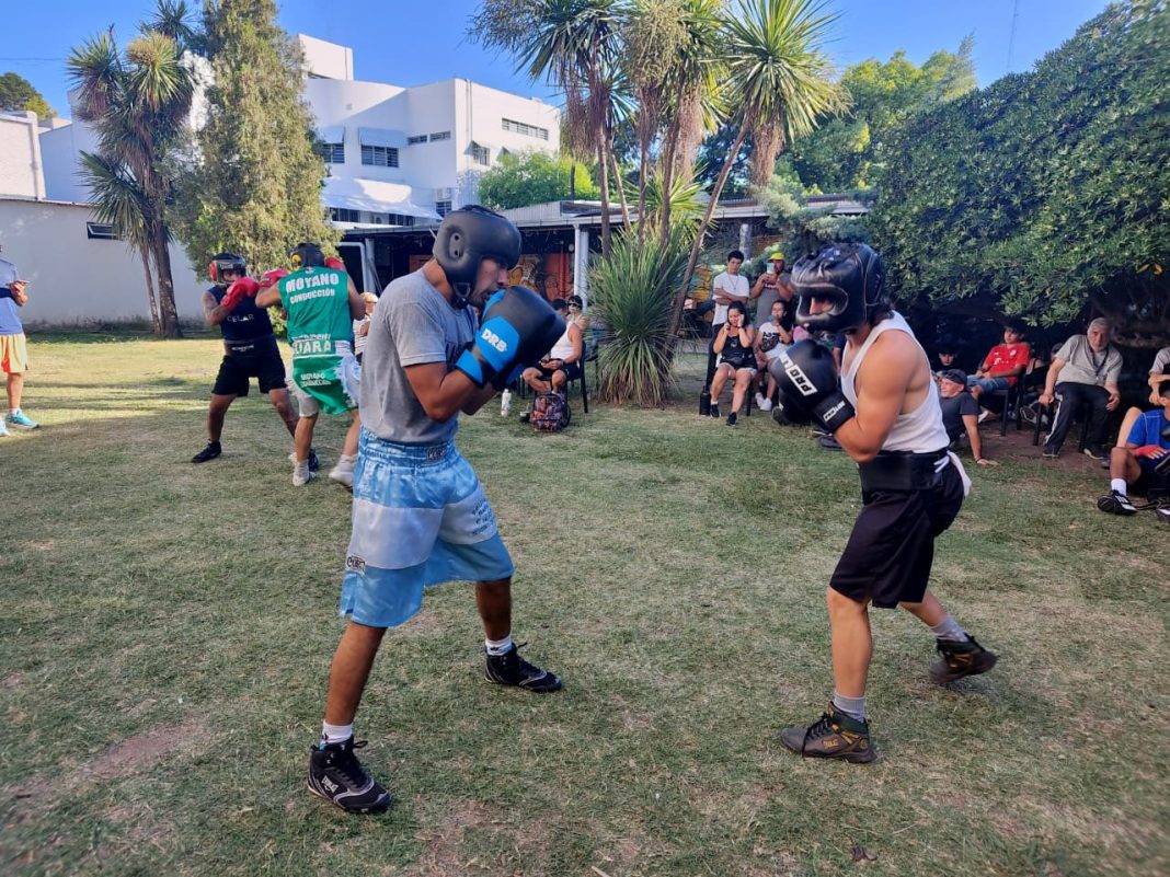 WhatsApp Image 2026-02-18 at 12.35.50