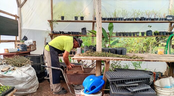 EL JARDÍN BOTÁNICO INVITA A PARTICIPAR DEL TALLER DE HUERTA FAMILIAR