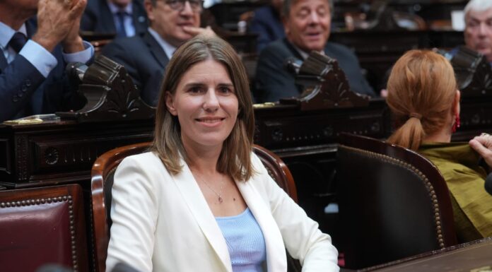 TRAS SU APROBACIÓN EN DIPUTADOS, MARINA SALZMANN ADVIRTIÓ SOBRE EL IMPACTO DE LAS REFORMAS EN LAS ZONAS FRÍAS