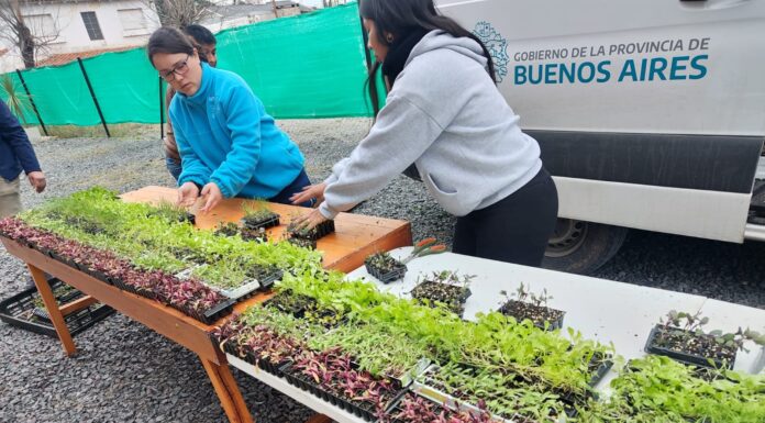 LA PROVINCIA ENTREGÓ PLANTINES Y SEMILLAS