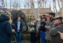 EL MUSEO PALEONTOLÓGICO INCORPORÓ UNA ESCULTURA REALIZADA CON CHATARRA