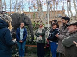 EL MUSEO PALEONTOLÓGICO INCORPORÓ UNA ESCULTURA REALIZADA CON CHATARRA