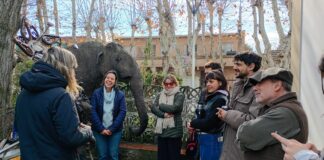 EL MUSEO PALEONTOLÓGICO INCORPORÓ UNA ESCULTURA REALIZADA CON CHATARRA