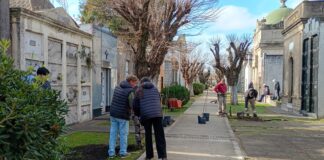 NUEVAS LUMINARIAS SOLARES Y REFORESTACIÓN PARA PONER EN VALOR EL CEMENTERIO MUNICIPAL