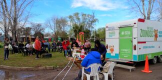 JORNADA DE CASTRACIÓN Y VACUNACIÓN ANTIRRÁBICA EN NUESTRA SEÑORA DE LA PAZ