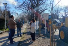 EL MUNICIPIO INCORPORÓ DOS NUEVAS MOTONIVELADORAS PARA EL MANTENIMIENTO DE CALLES