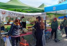 LA FERIA ITINERANTE RENOVÓ SU PROPUESTA EN EL CENTRO DE MARCOS PAZ