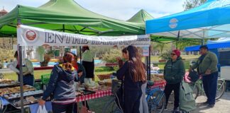 LA FERIA ITINERANTE RENOVÓ SU PROPUESTA EN EL CENTRO DE MARCOS PAZ