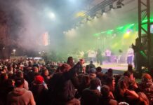FLOR ÁLVAREZ SE PRESENTÓ EN EL SHOW DE CIERRE DE LA FIESTA NACIONAL DEL JAMÓN
