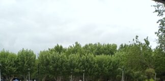 JORNADA POR EL DÍA MUNDIAL DE LA SALUD MENTAL