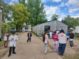 ESTUDIANTES DE LA ESCUELA PRIMARIA Nº6 VISITARON EL VIVERO MUNICIPAL
